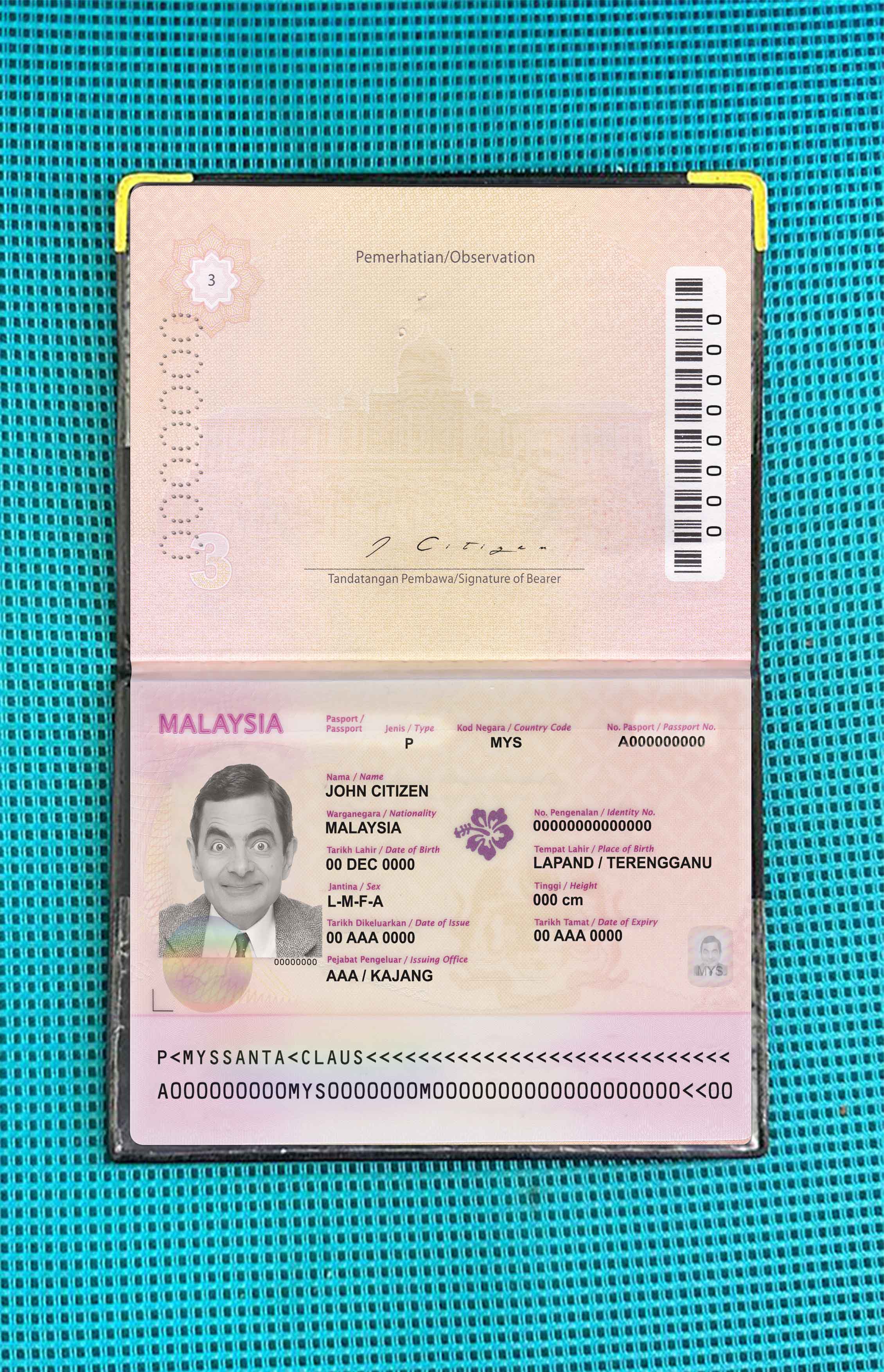 Malaysia passport (2010 2017) photo look PSD template